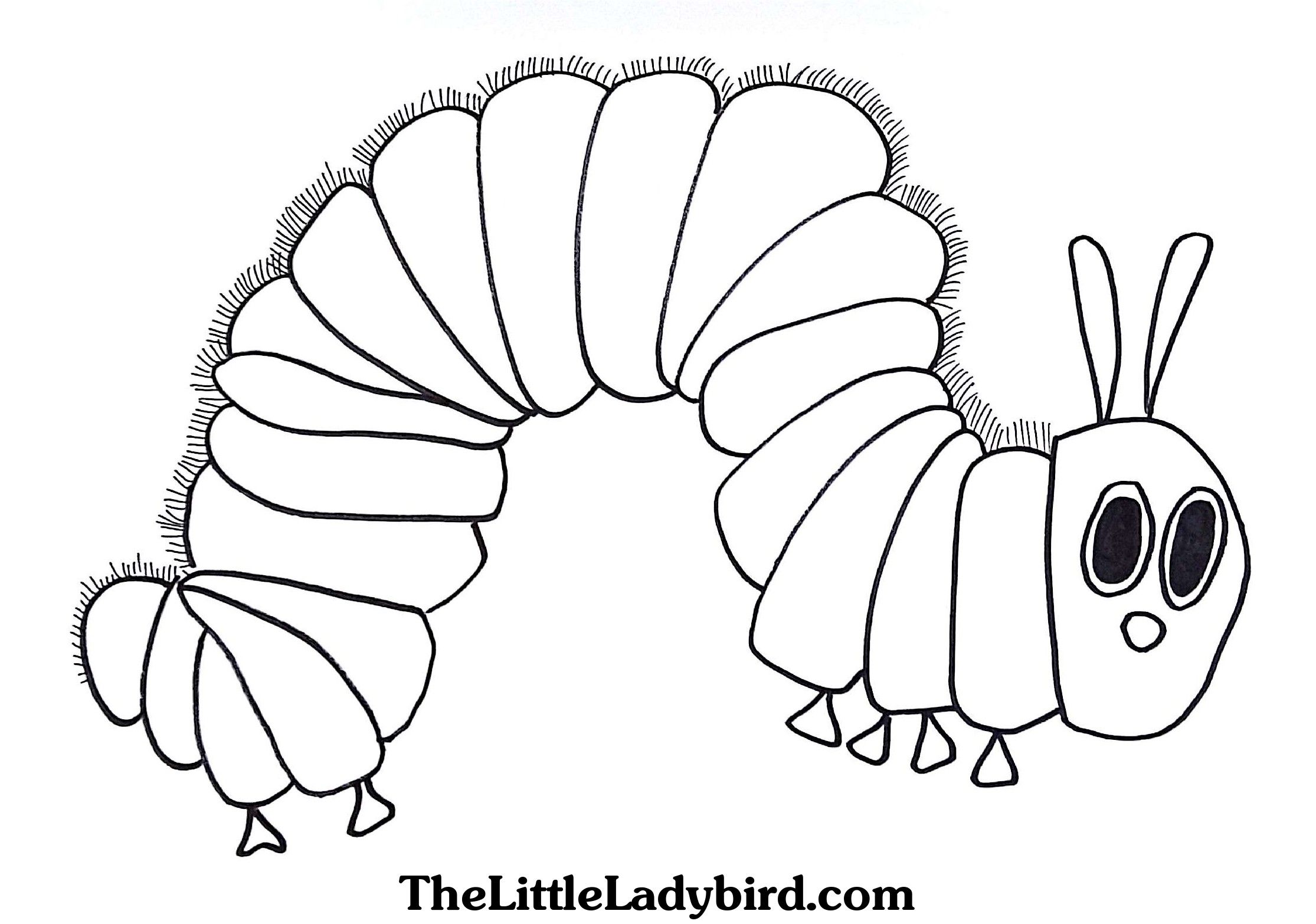 Hungry caterpillar coloring pages free the hungry caterpillar coloring page thelittleladybird