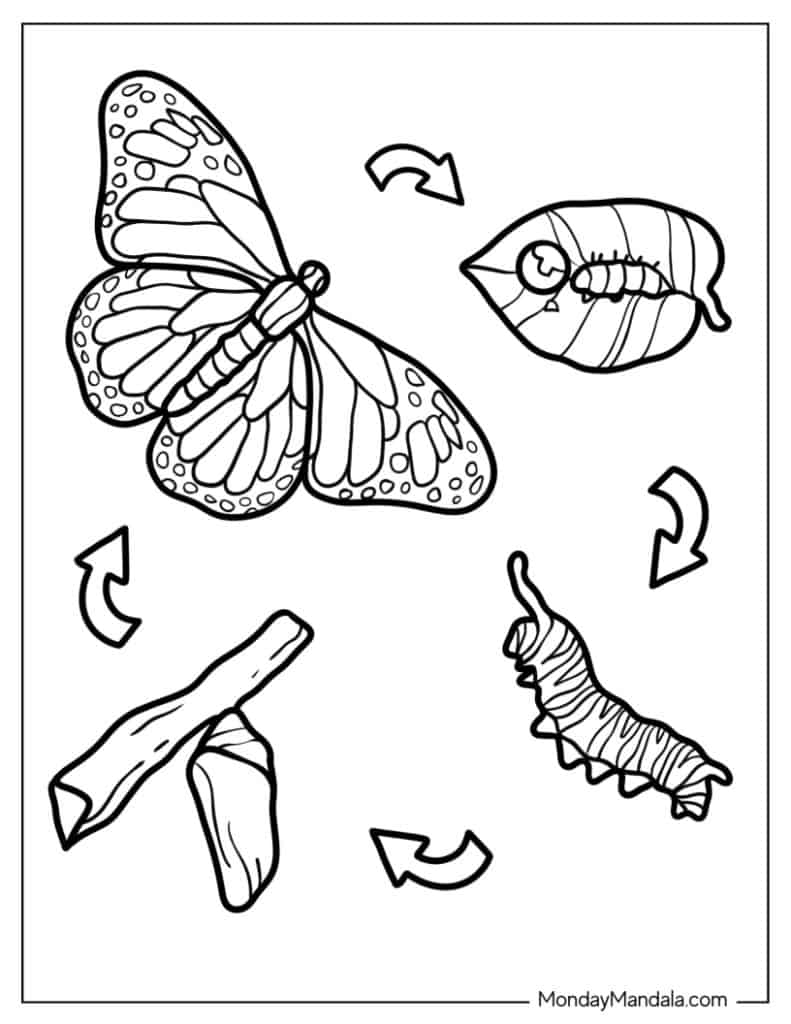 Caterpillar coloring pages free pdf printables