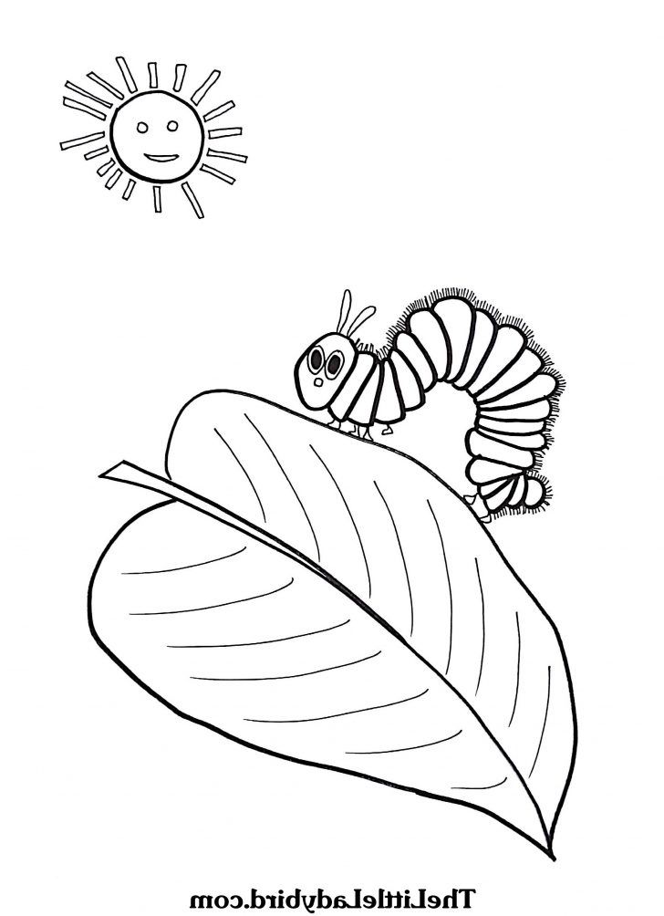 Awesome picture of hungry caterpillar coloring pages