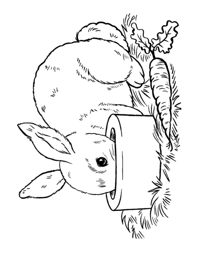 Easter bunny coloring pages bluebonkers