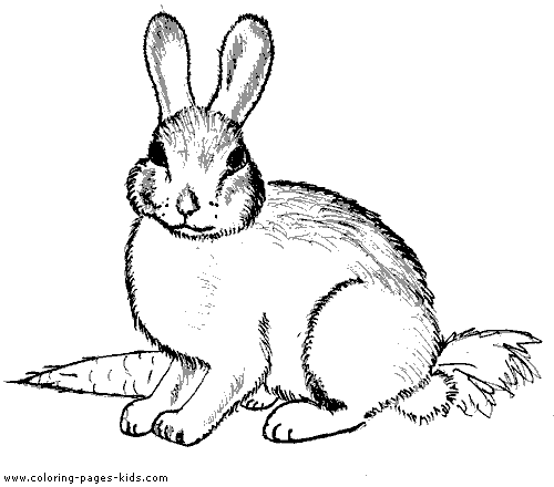 Bunny coloring book page