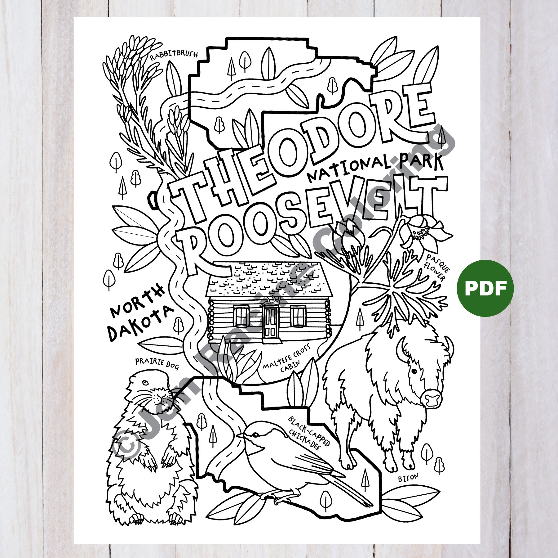 Theodore roosevelt national park coloring page