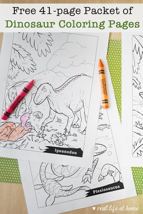 Free printable dinosaur coloring pages packet for kids pages