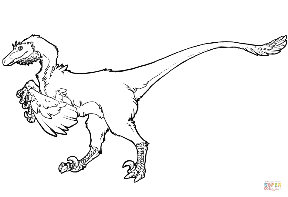 Raptor dinosaur coloring page free printable coloring pages