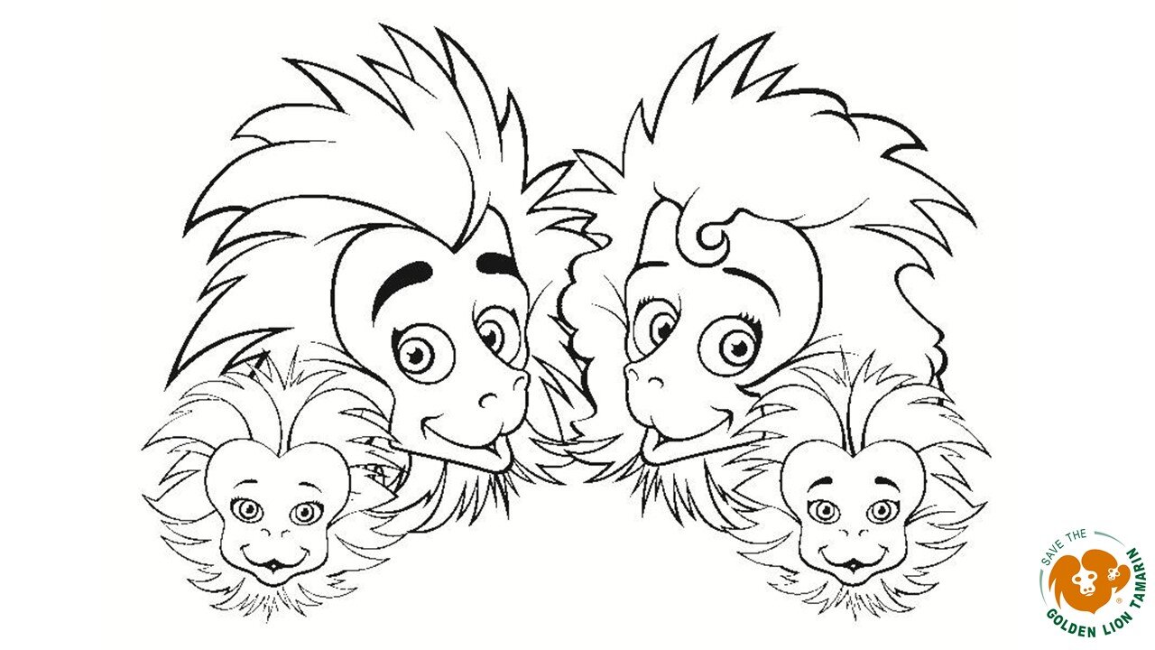 Masks and coloring pages â save the golden lion tamarin