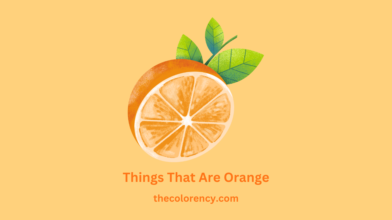 Things that are orange a prehensive guide