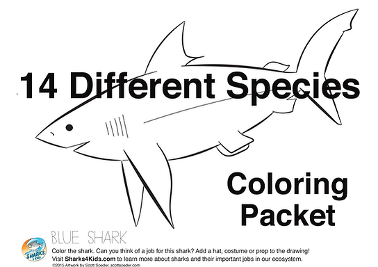 Shark education coloring sheets