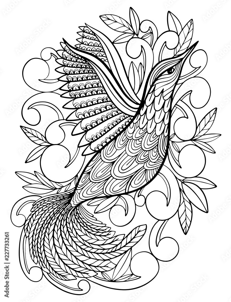 Coloring pages coloring book for adults beautiful template with artwork school educationbird hummingbird vector