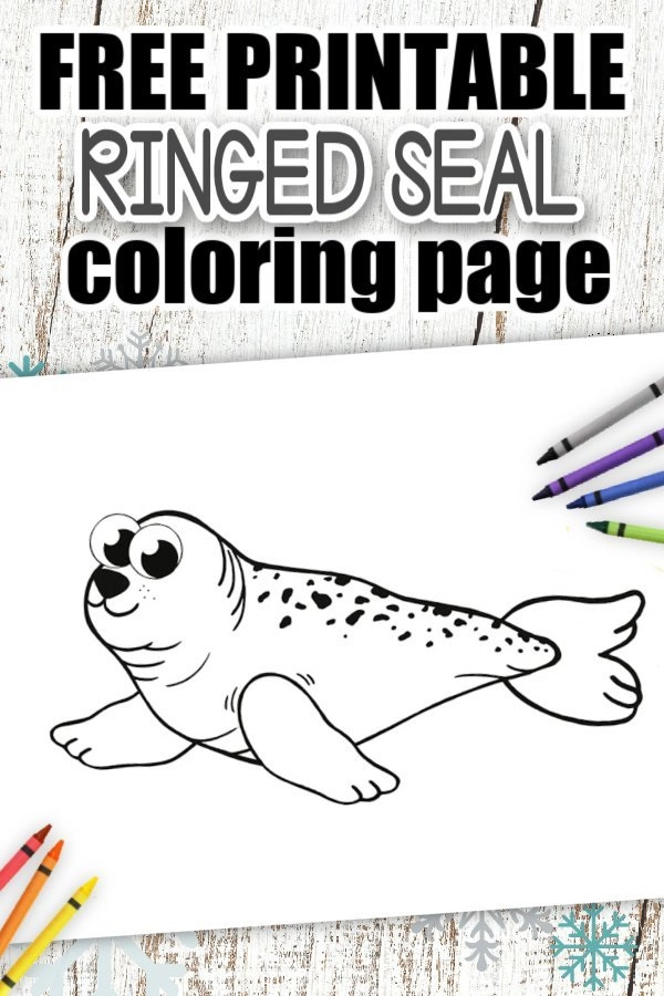 Free printable ringed seal template â simple mom project