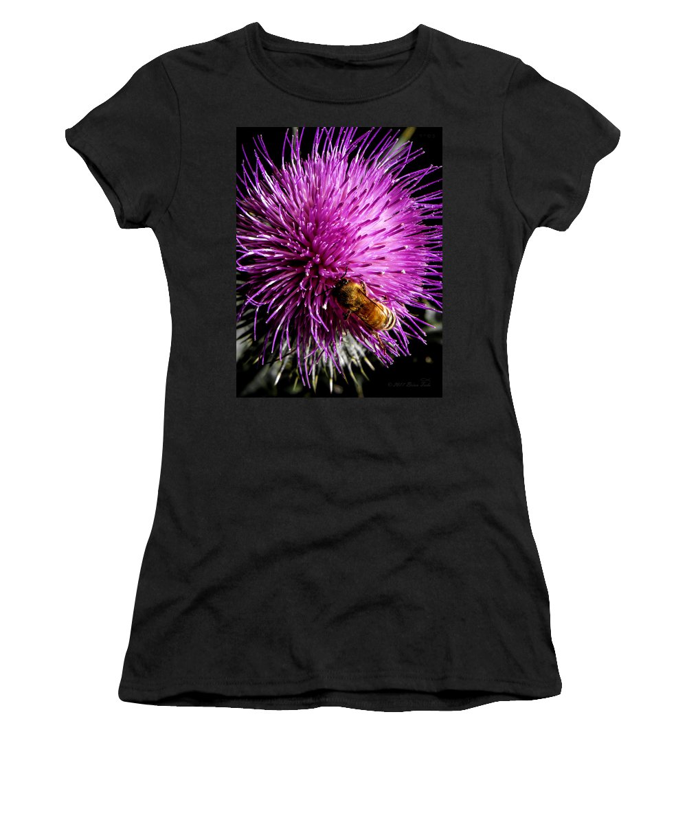 Honeybee on thistle blossom womens t