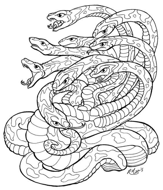 Pin by barbara on coloring reptile snake coloring pages coloring pages drawings