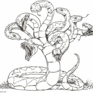 Hydra coloring pages printable for free download