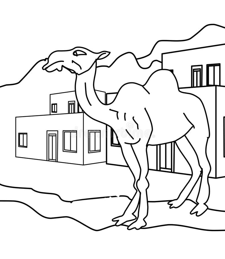 Camel coloring page stock illustrations â camel coloring page stock illustrations vectors clipart