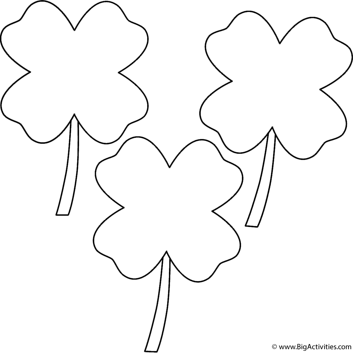 Four leaf clovers clovers