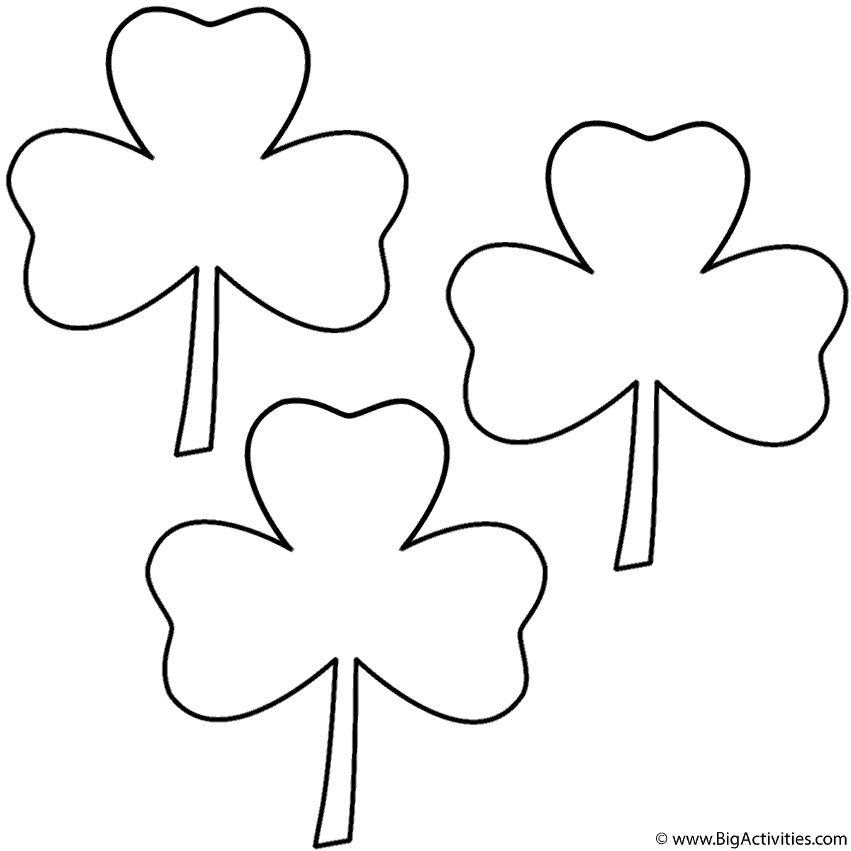 Three leaf clovers clovers