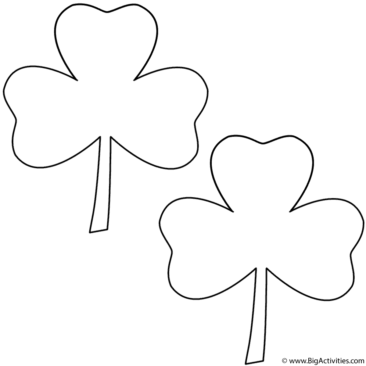 Three leaf clovers clovers