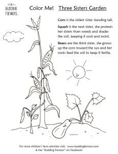 Budding farmers activity pages garn coloring pages colorful garn lined writing paper