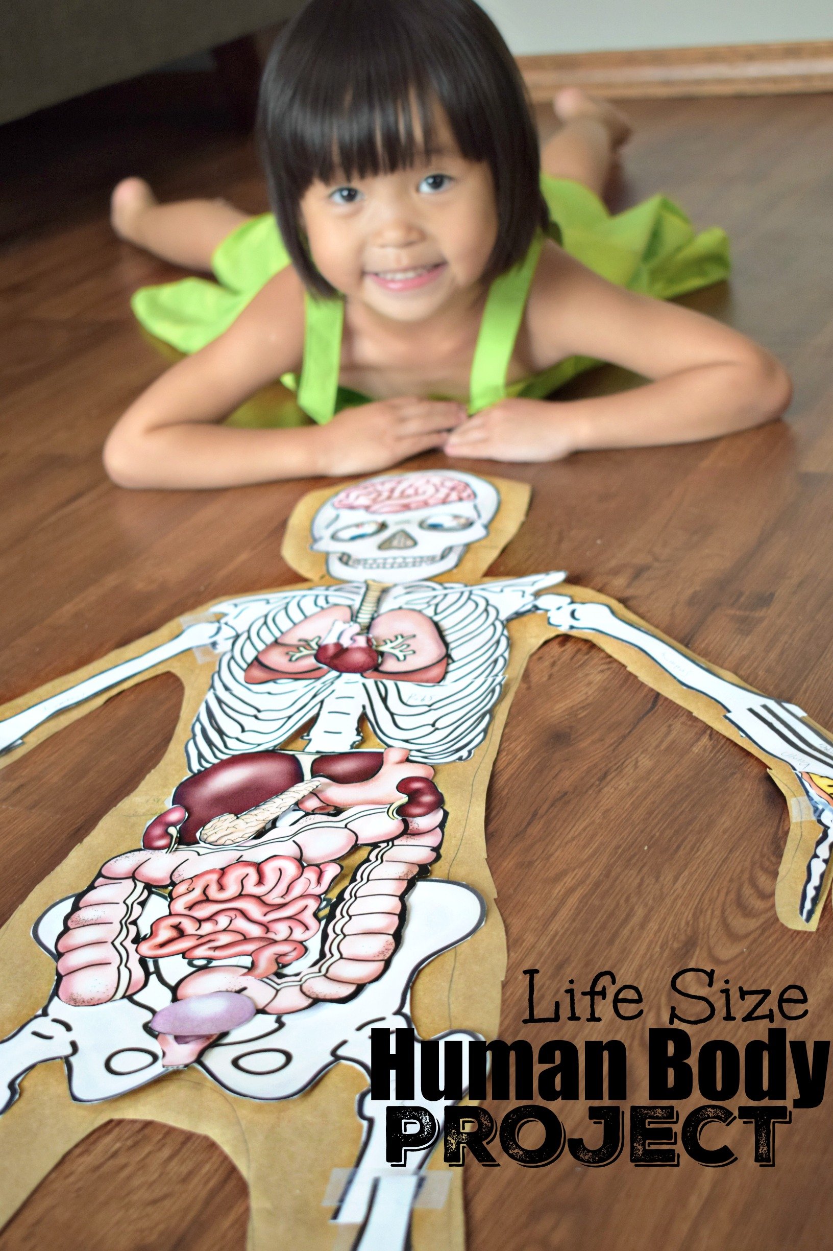 Human body project with free printables