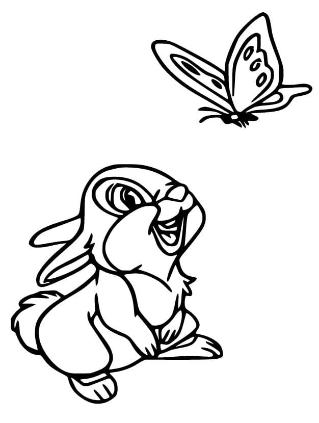 Thumper and butterfly coloring page animal coloring pages bunny coloring pages butterfly coloring page