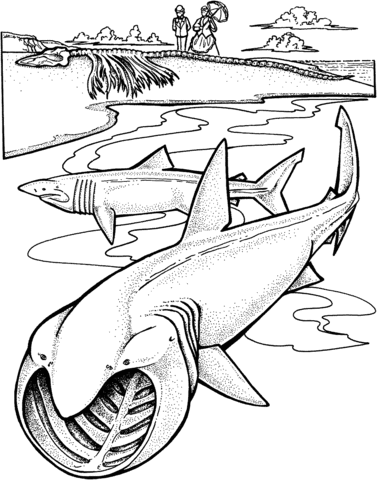 Two basking sharks coloring page free printable coloring pages