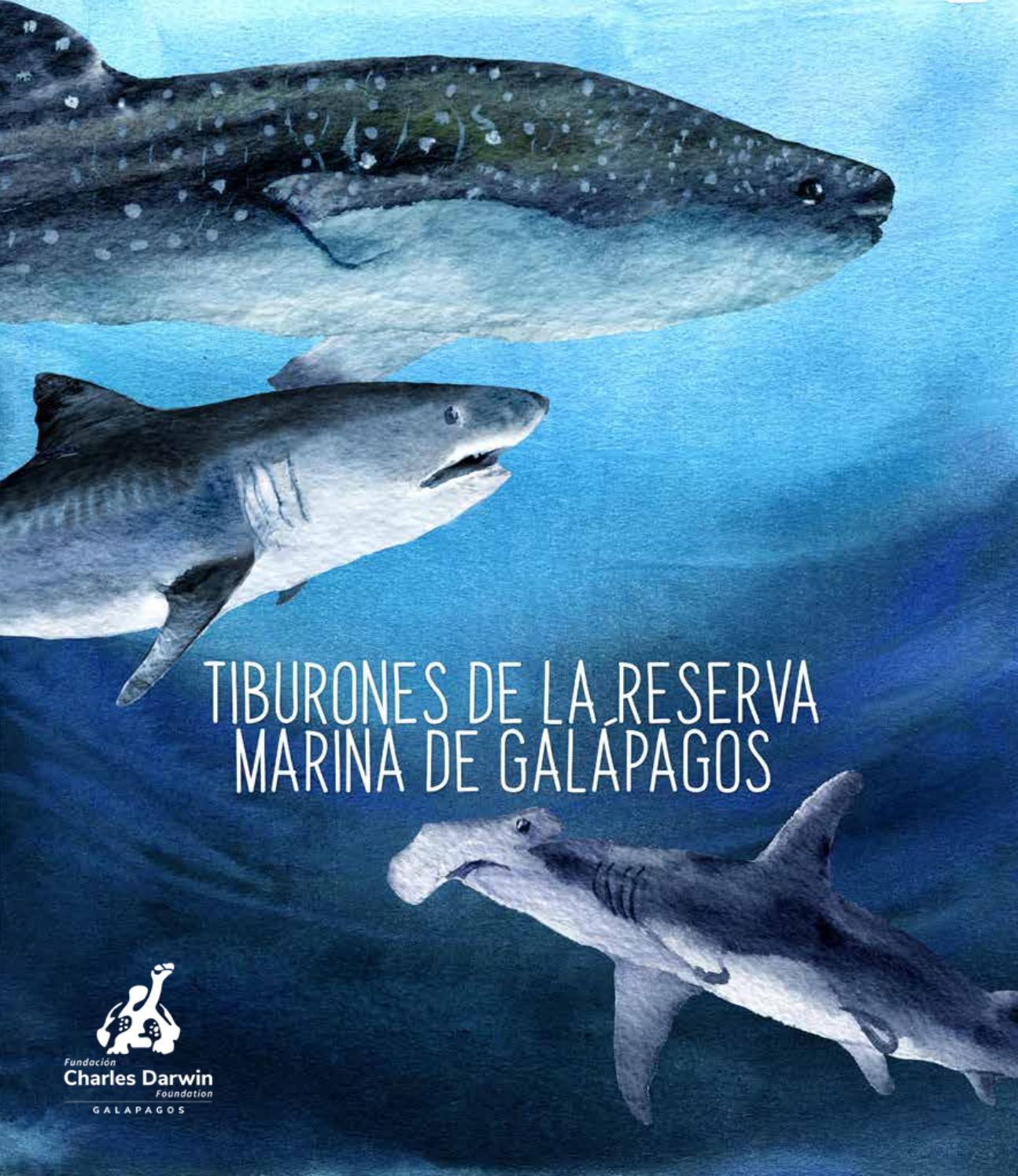 Tiburones de la reserva marina de galãpagos by zonacerosub