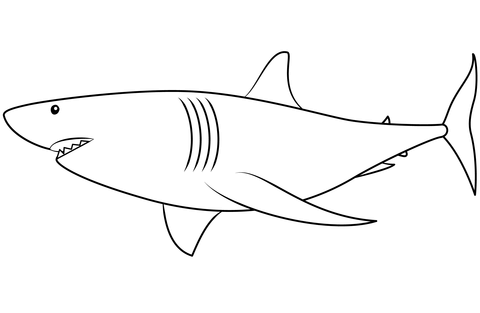 Shark coloring page free printable coloring pages