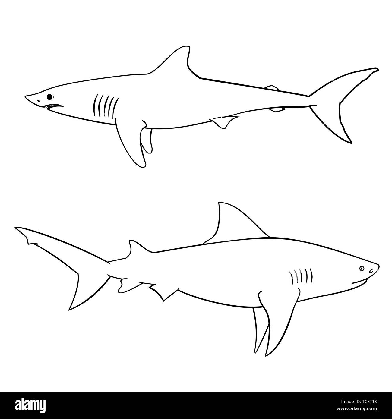 Shark coloring hi