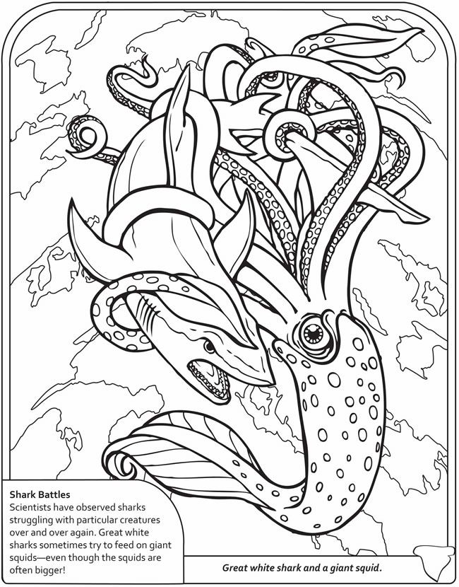 Explore the fascinating world of d coloring with sharks