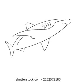 Shark outline images stock photos d objects vectors