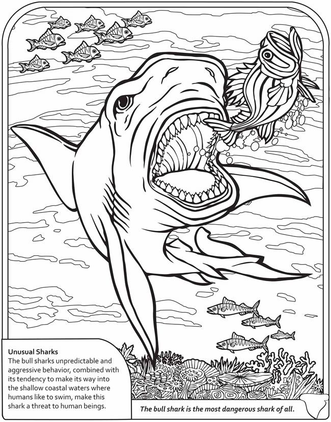 Wele to dover publications shark coloring pages coloring pages adult coloring pages