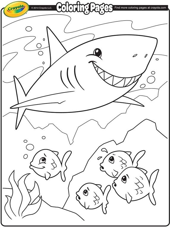 Shark on crayolacom shark coloring pages free coloring pages fish coloring page