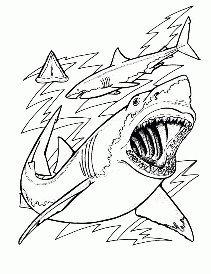 Free printable shark coloring pag for kids shark coloring pag ocean coloring pag animal coloring pag