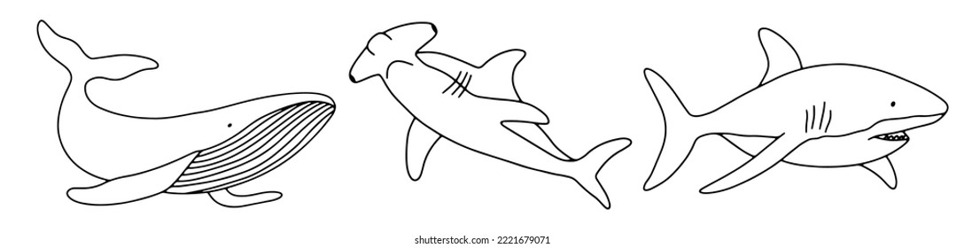 Imãgenes fotos de stock objetos en d y vectores sobre shark drawn outline