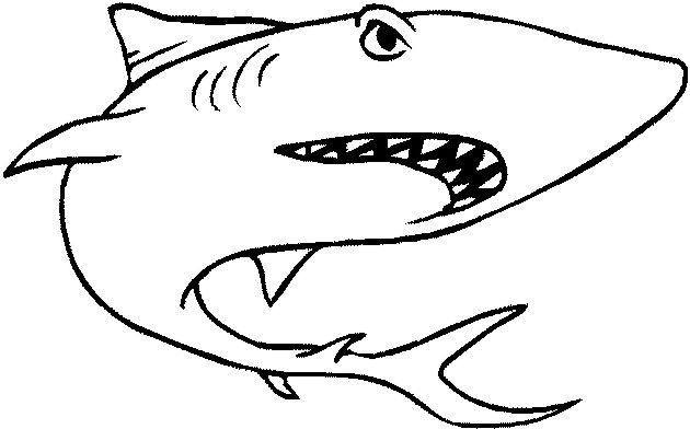 Tiburon dibujo