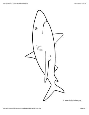 Sea life loring page with a picture of a great white shark to lor shark loring pages white sharks loring pages