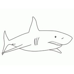 Dibujos de tiburãn para colorear y pintar