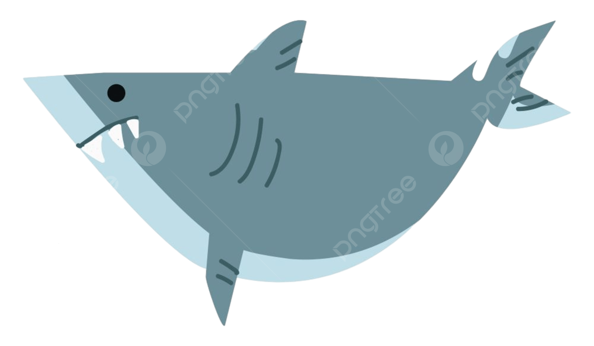 Tiburãn enojado buscando pra vector o ilustraciãn en color png dibujos megalodon en peligro de extinciãn scuba png y vector para dcargar gratis