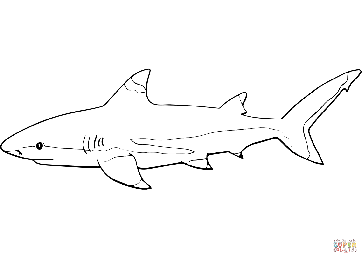 Dibujo de tiburãn de arrecife de punta negra para colorear dibujos para colorear imprimir gratis