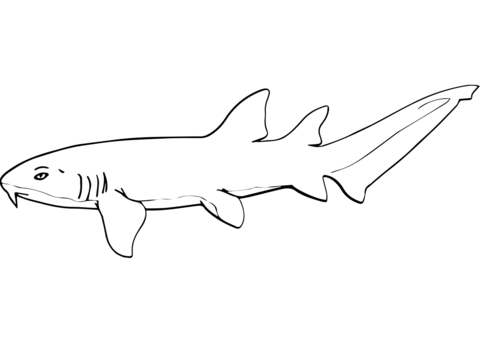 Dibujo de tiburãn nodriza para colorear dibujos para colorear imprimir gratis