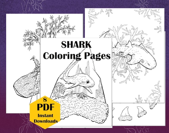 Ilustraciones de tiburones pãginas para colorear de animales salvajes semana del tiburãn gran blanco libro para colorear para adultos dibujado a mano pãgina para colorear para niãos hoja de actividades para niãos