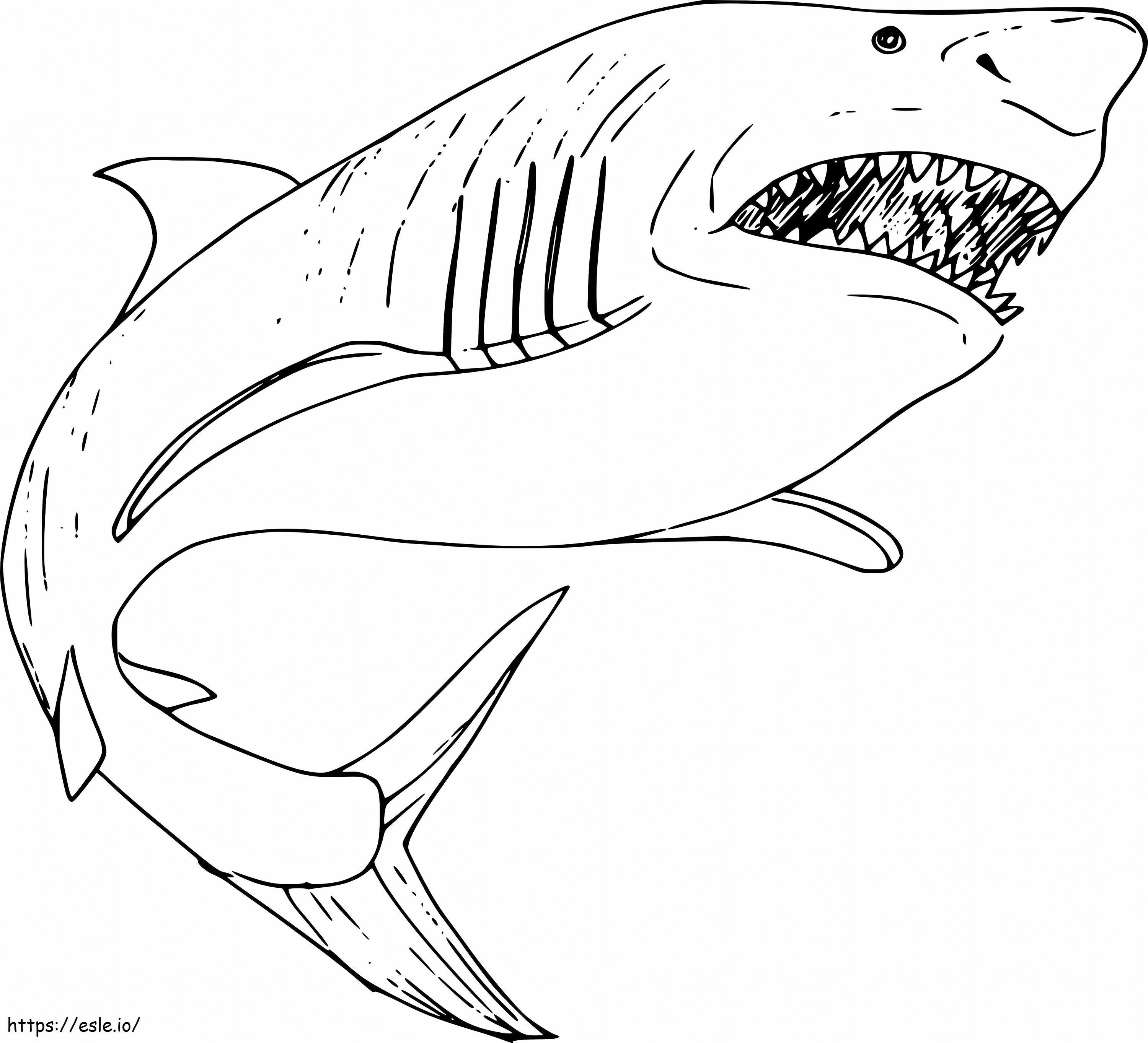 Tiburon megalodon grande coloring page