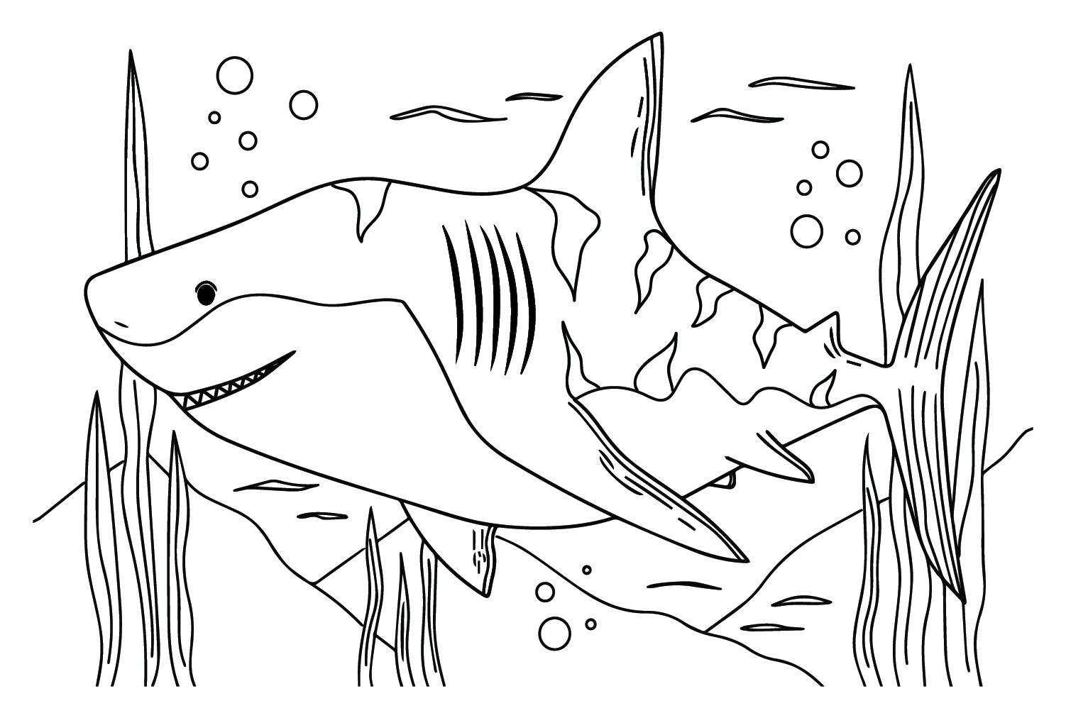 Big tiger shark coloring page