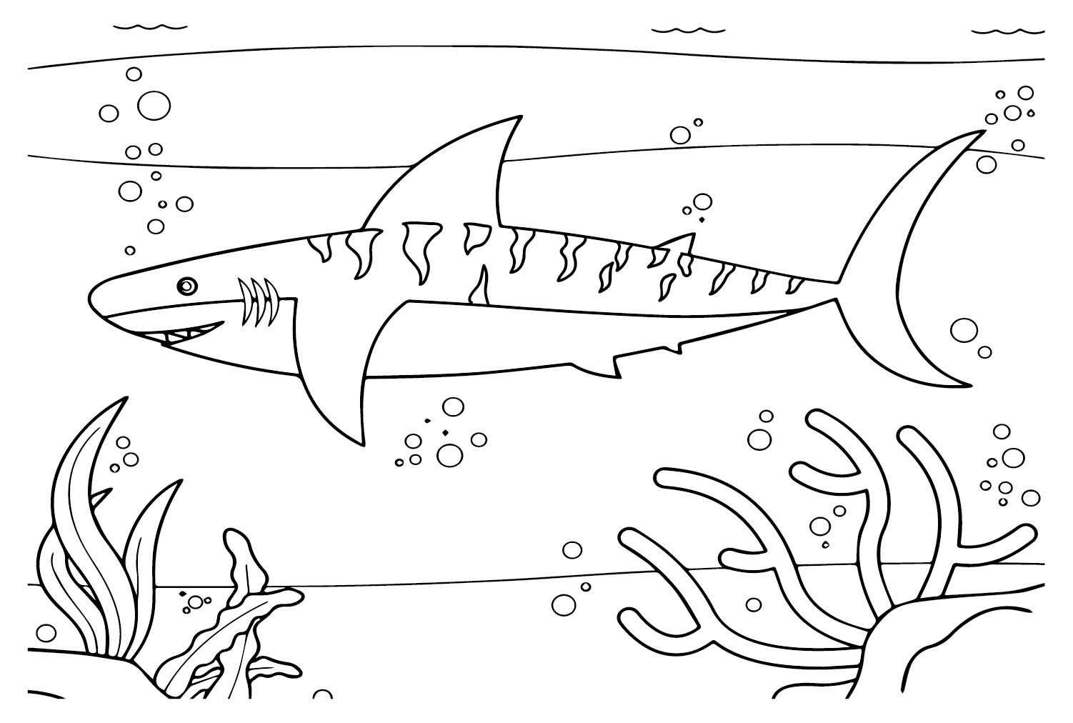 Dibujos para colorear de migraciãn del tiburãn tigre