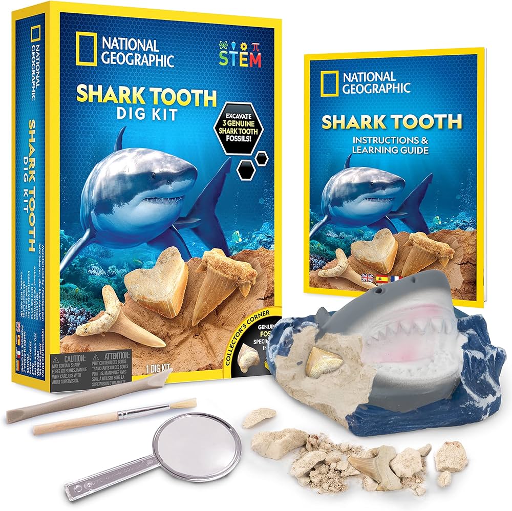 National geographic kit de excavaciãn de dientes de tiburãn excavar fãsiles reales de dientes de tiburãn incluyendo tigre de arena otodus y tiburãn cuervo gran regalo cientãfico para entusiastas de