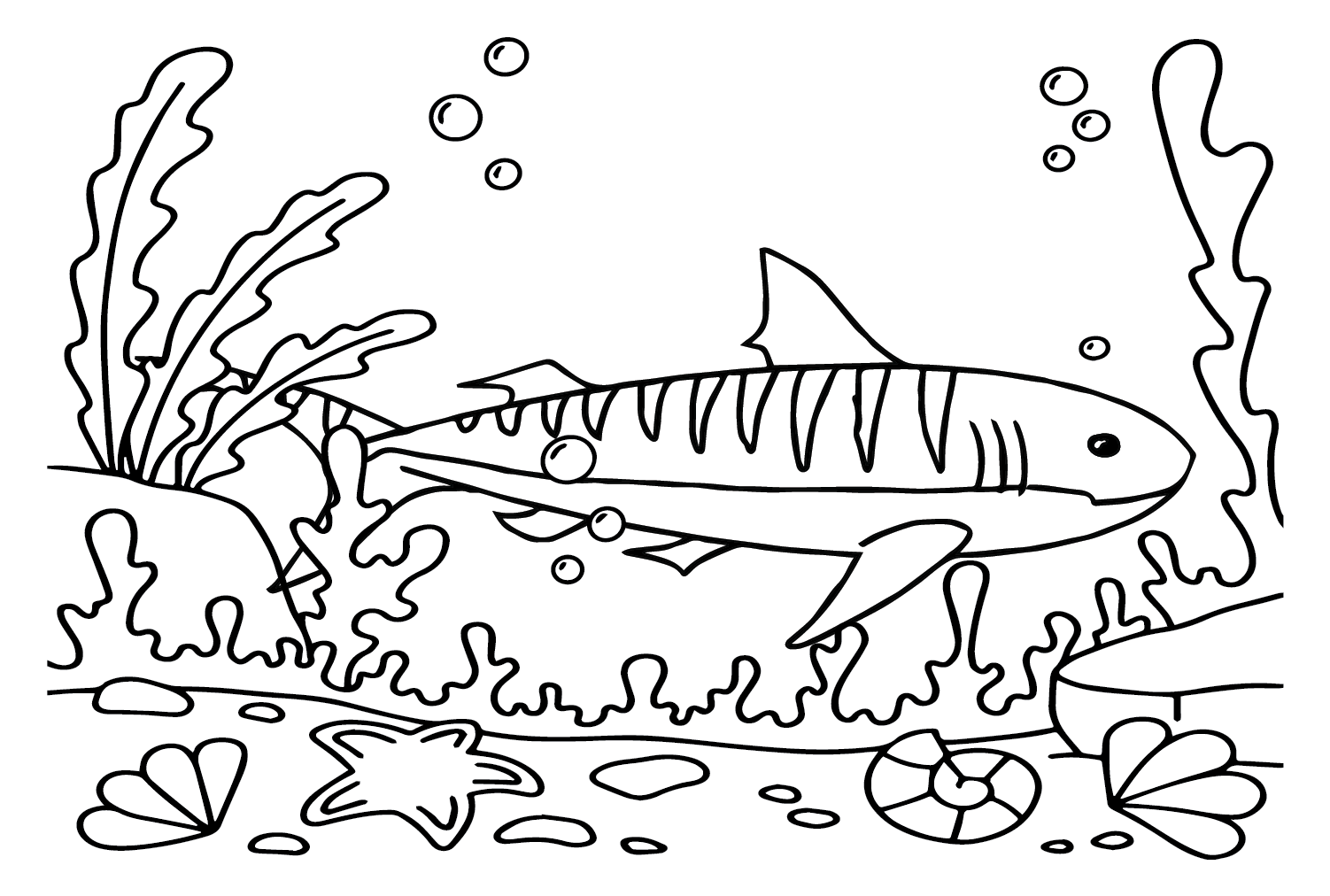 Big tiger shark coloring page