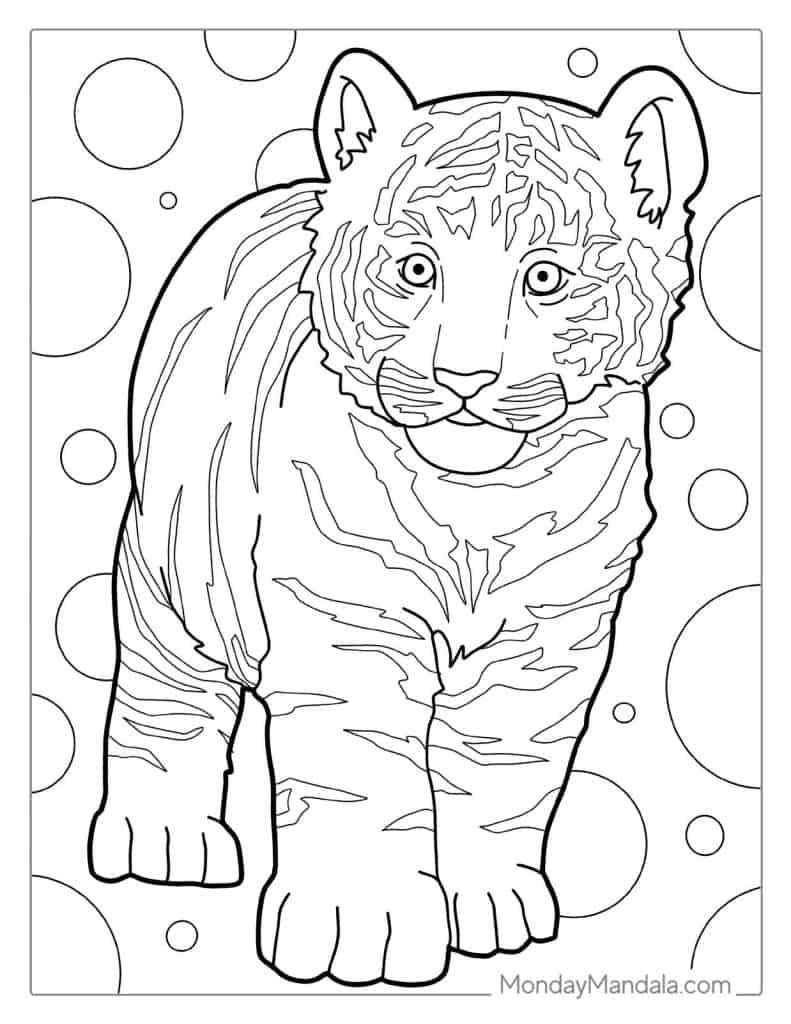 Tiger coloring pages free pdf printables