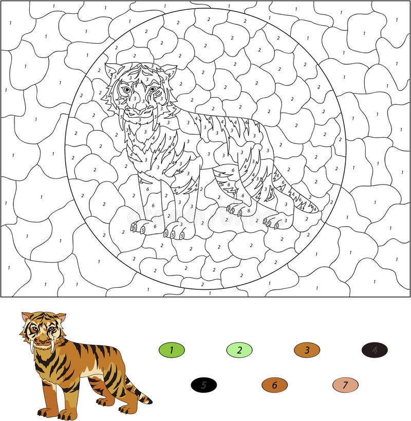 Tiger color number stock illustrations â tiger color number stock illustrations vectors clipart