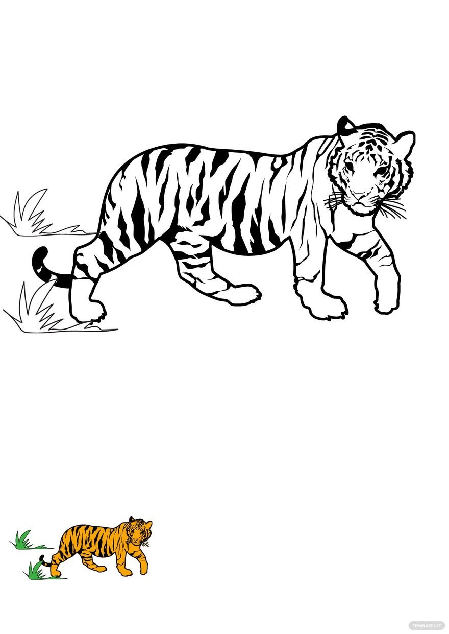 Free old tiger coloring page