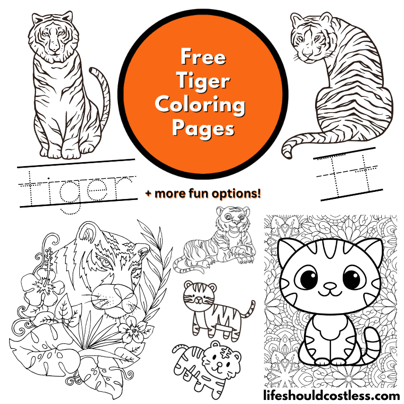 Tiger coloring pages free printable pdf templates