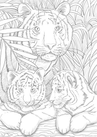 Tigers â favoreads coloring club